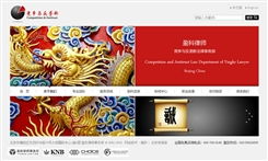 北京傳誠信網站建設公司 第17頁網站設計案例精析
